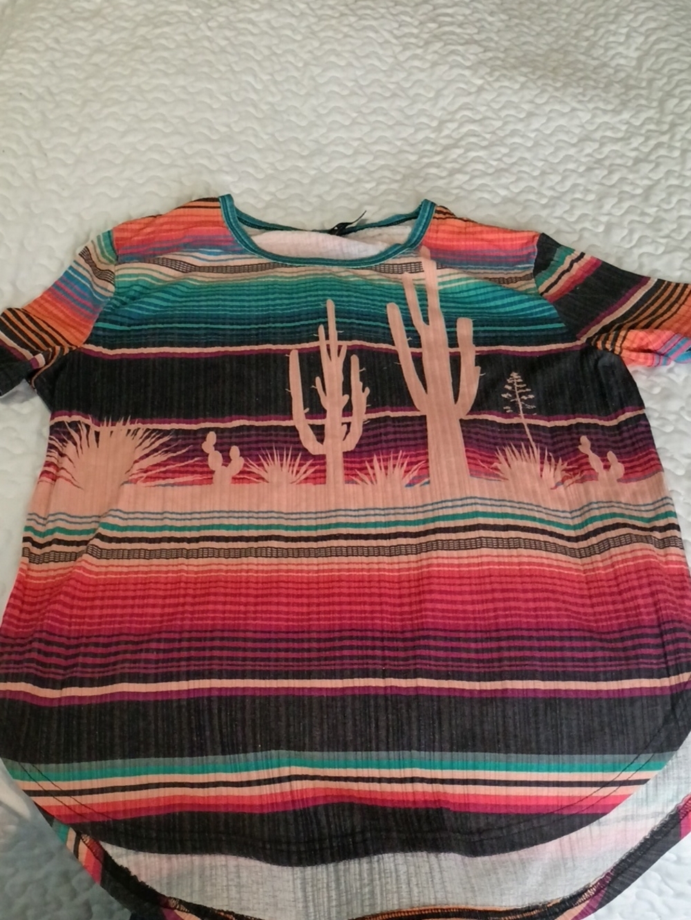 Crazy Train Multicolor Desert Stripe Tee